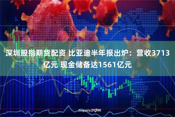 深圳股指期货配资 比亚迪半年报出炉:营收3713亿元 现金储备达1561亿元